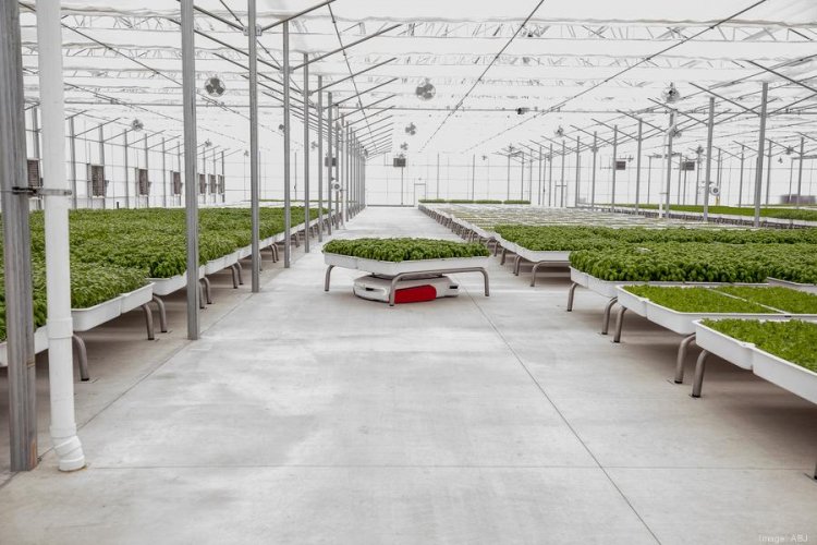 Iron Ox lays off half the company, says Austin-area greenhouse to remain open