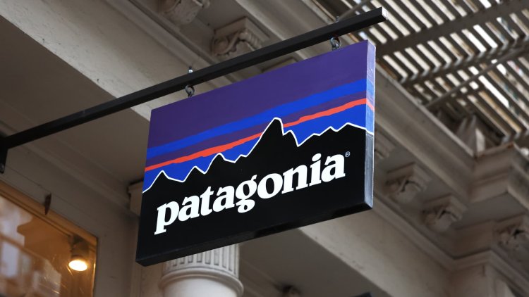 Is Patagonia the end game for profits in a world of climate change?