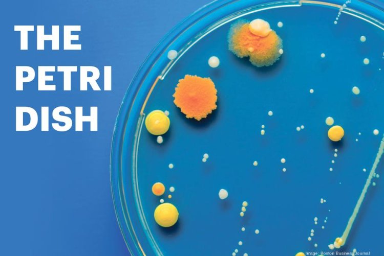 The Petri Dish: Morphic, J&J part ways; FDA committee to review another Biogen drug