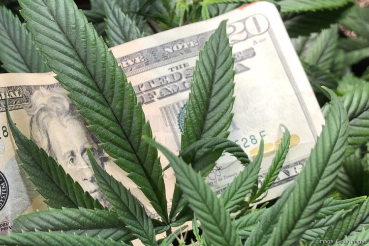 Regulators suspend cannabis money-services startup Left Coast Financial Solutions