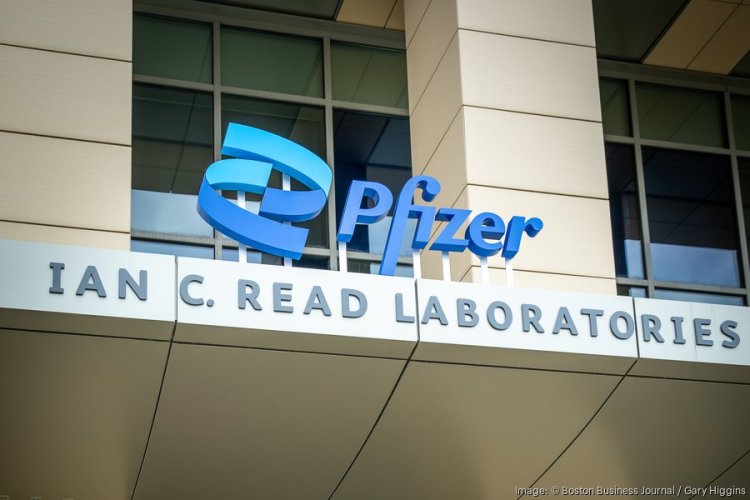 Experts weigh in on Seagen's reported talks to be sold to Pfizer