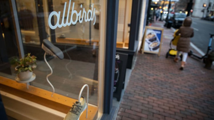 Allbirds admits missteps, unveils new strategy after brutal holiday quarter