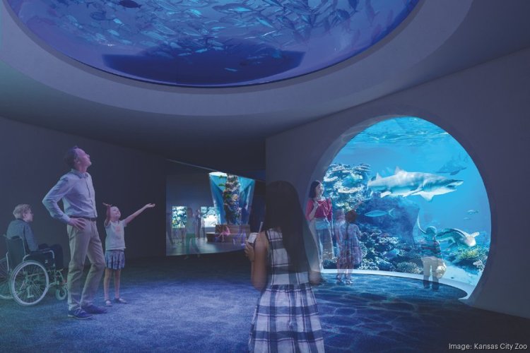 How the Kansas City Zoo is building its $75M aquarium