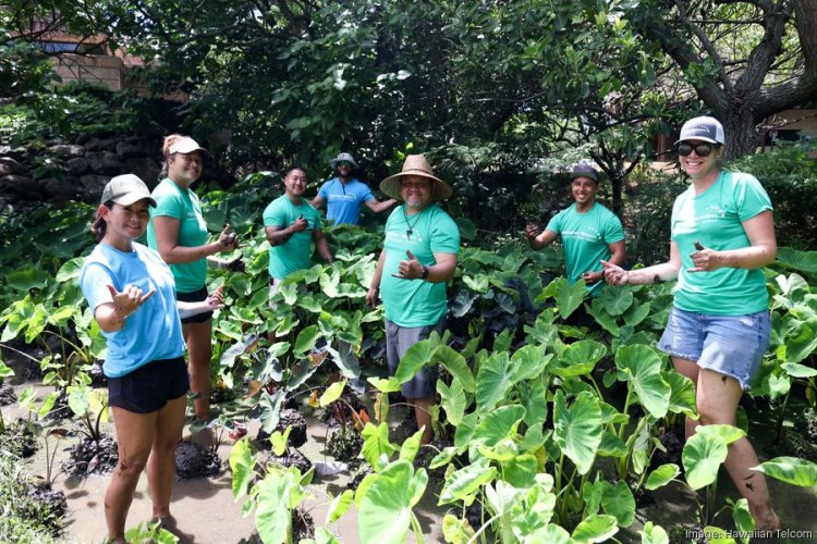 Hawaiian Telcom donated $1.2M to nonprofits in 2022